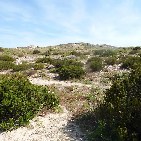Peniche Blue Wave * Atouguia Da Baleia