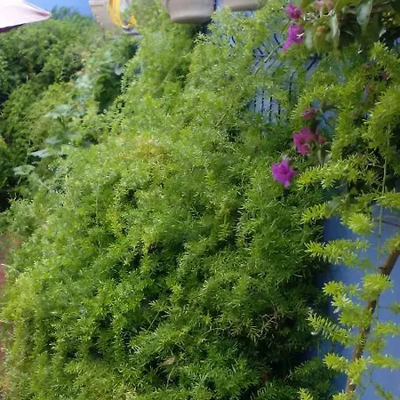 Peniche Blue Wave Atouguia Da Baleia