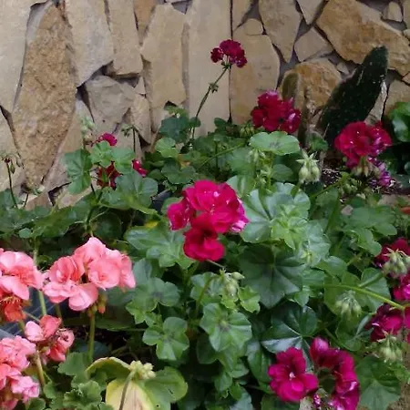 Peniche Blue Wave Pensión