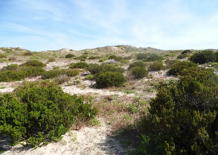 Peniche Blue Wave * اتوغويه ده باليه