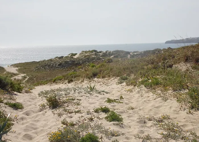 Peniche Blue Wave بيت ضيافة *