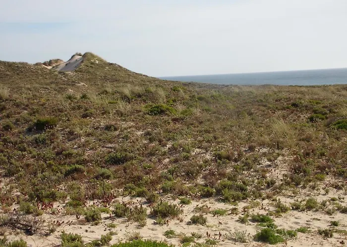Peniche Blue Wave بيت ضيافة اتوغويه ده باليه