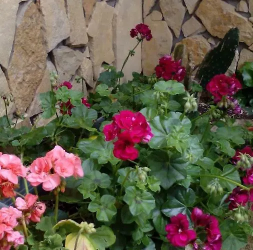 Peniche Blue Wave بيت ضيافة